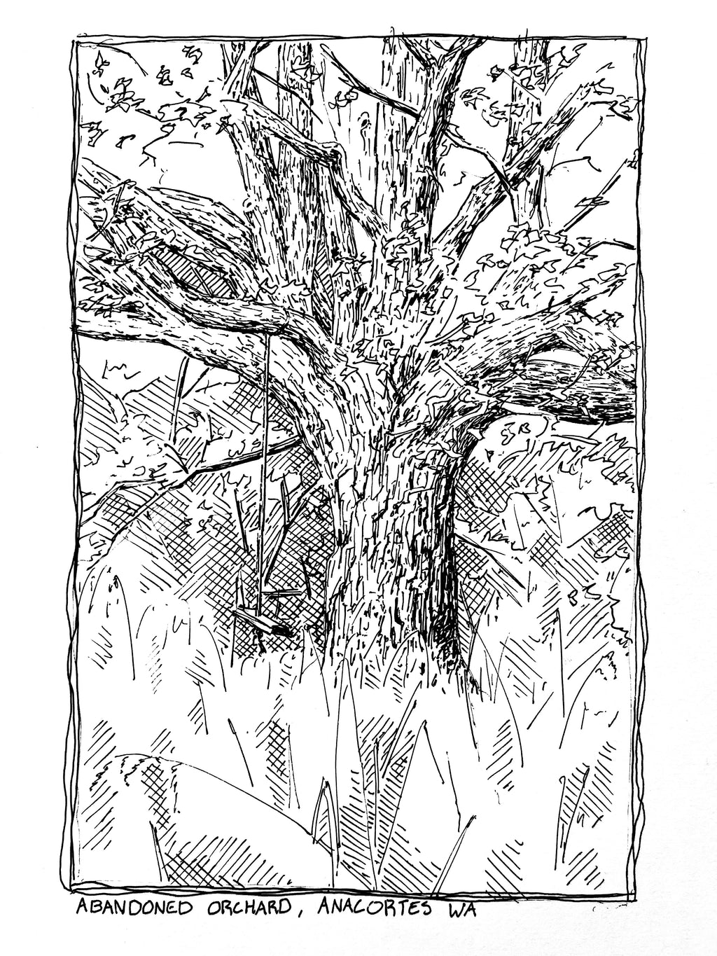 Anacortes Postcard Collection