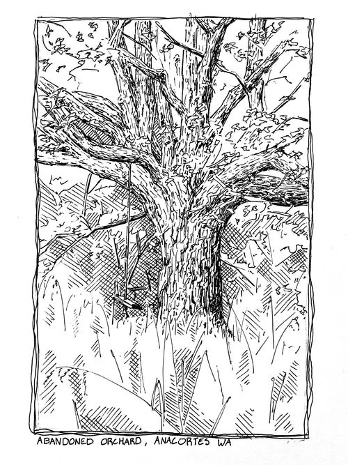 Anacortes Postcard Collection